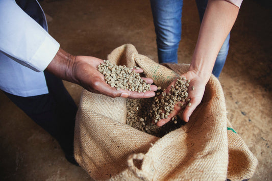How your company can reduce its environmental footprint by consuming whole bean coffee